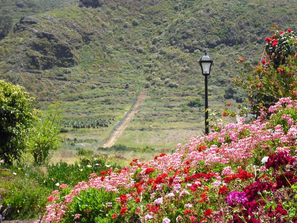 Finca El Picacho Apartments In The Countryside 2 Km From The Beach Tejina Номер фото