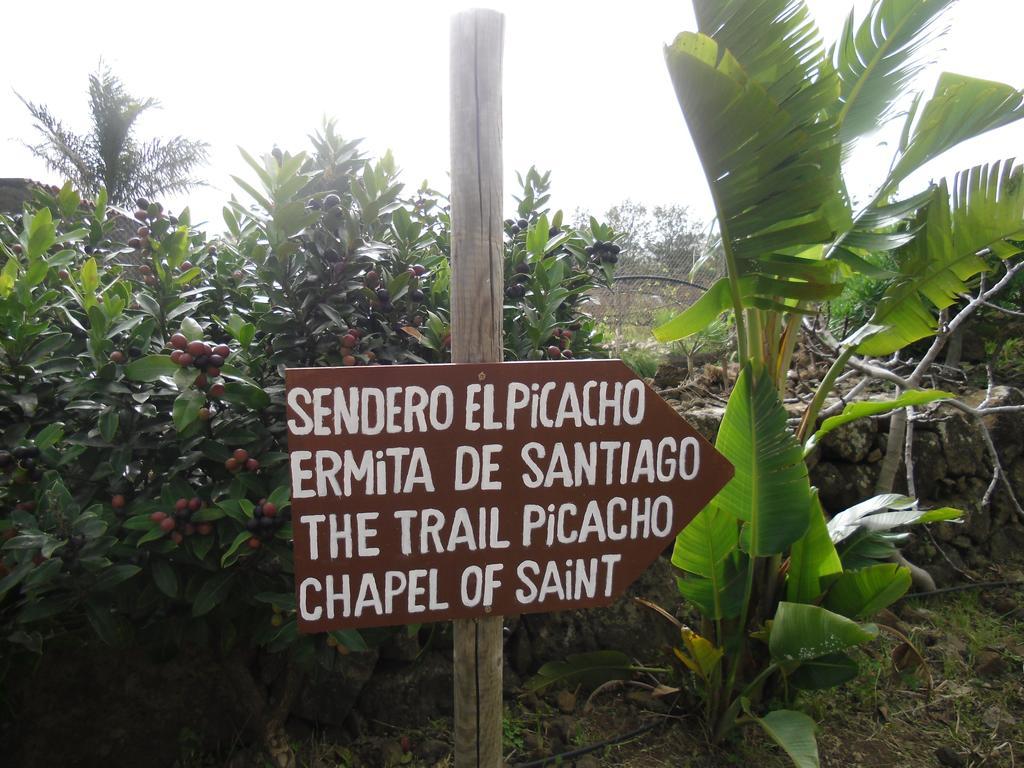 Finca El Picacho Apartments In The Countryside 2 Km From The Beach Tejina Номер фото