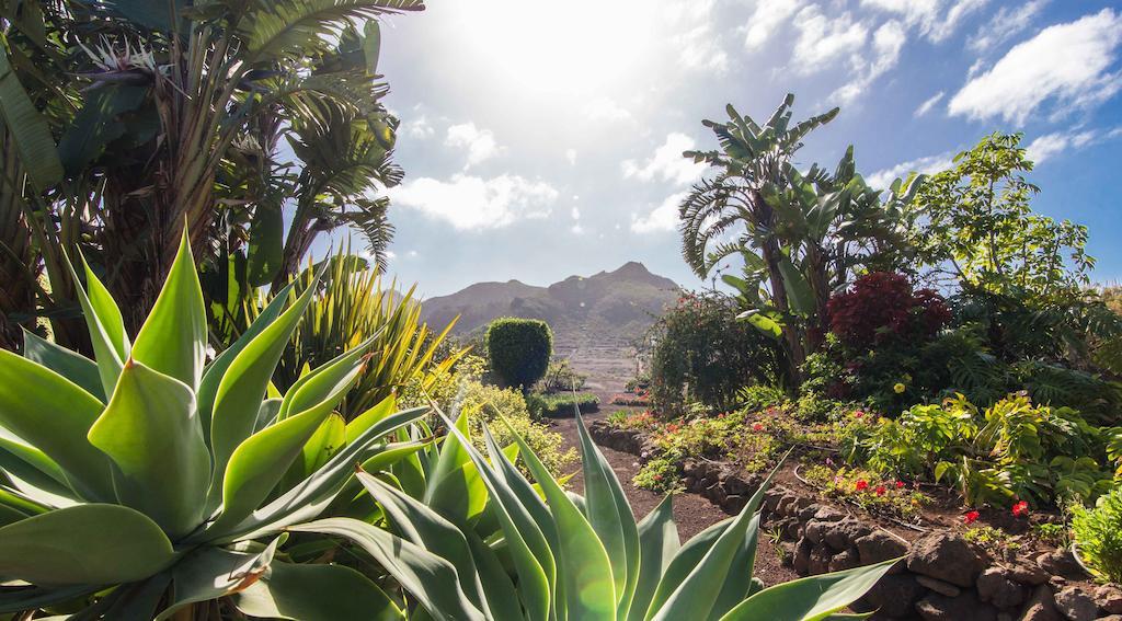 Finca El Picacho Apartments In The Countryside 2 Km From The Beach Tejina Номер фото